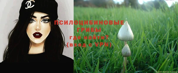 ешки Кукмор