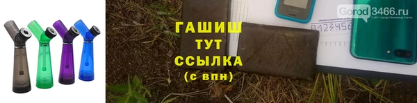 прущие грибы Куйбышев