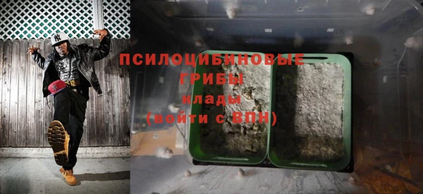 прущие грибы Куйбышев